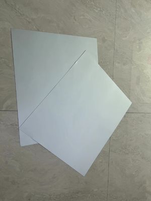 1350MM 20개월 유효기간을 위한 상업용 공정 없는 CTP판